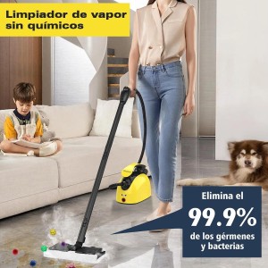 Waitbird Limpiador de vapor multiusos para todos los accesorios de 21 piezas