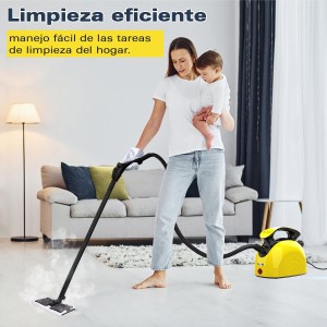 Waitbird Limpiador de vapor multiusos para todos los accesorios de 21 piezas