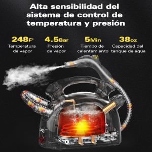 Waitbird Limpiador de vapor multiusos para todos los accesorios de 21 piezas