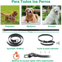 Collar de Adiestramiento para Perros