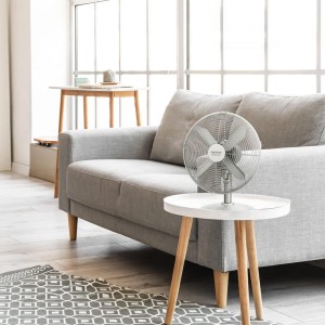 Cecotec Ventilador de Sobremesa EnergySilence 610 SteelDesk. 40 W