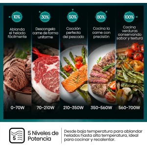 Hisense H20MOBP1HI - Microondas 20 Litros, 700W, Inverter Expert, Descongelación Rápida