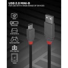 LINDY Cable Mini USB 36725 5 m Negro