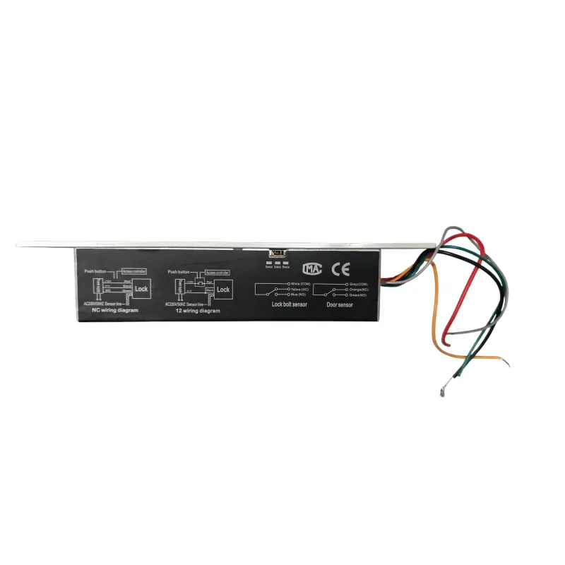 Cerradura eléctrica Salida magnética con retardo de Tiempo DC 12V Cerradura eléctrica Salida magnética con retardo de Tiempo DC 12V
