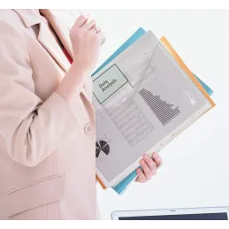 10 Paquetes de Carpetas A4 Plástico