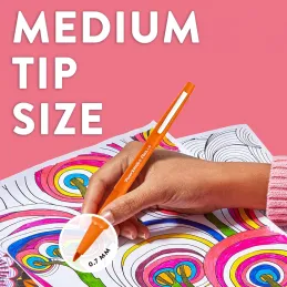 Paper Mate 2061396 - Paquete de 16 rotuladores, pu