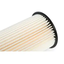 VALEO 587904 Filtro combustible Filtros de motor, Óptimas propiedades de filtración, capacidad de Larglife, ajuste exacto y fáci