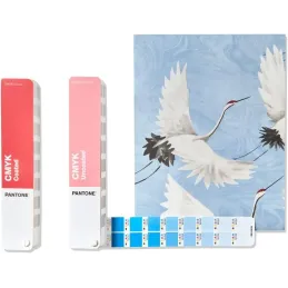 Pantone CMYK Juego de guía de colores, GP5101C