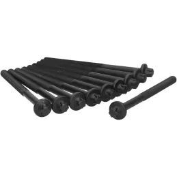 Ajusa 81031700 Juego de 10 tornillos de culata
