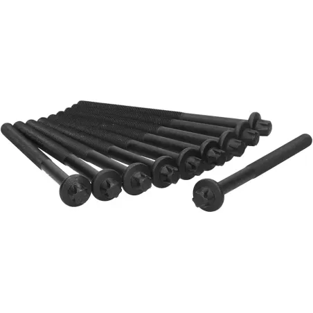 Ajusa 81031700 Juego de 10 tornillos de culata