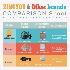 ZINGYOU BM-800 Micro Set Estudio Profesional