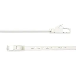 Amazon Basics Cable de red Gigabit Ethernet RJ45 C