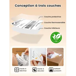 Phomemo Etiquetas De EnvíO 4 X 6 Dhl, Etiquetas Té