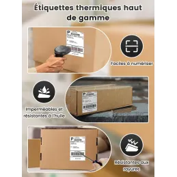 Phomemo Etiquetas De EnvíO 4 X 6 Dhl, Etiquetas Té