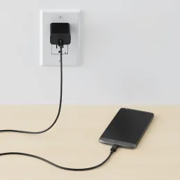 Amazon Basics Cable de Carga rápida USB-C a USB-C