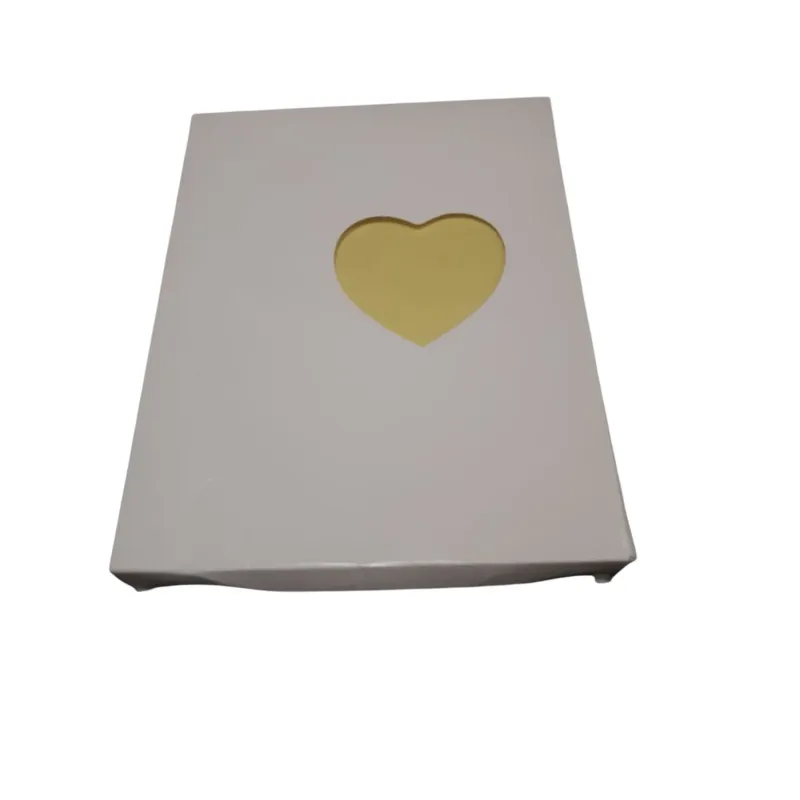 Organizador, carpeta con anillas transparente