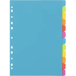 Viquel – Lote de 12 separadores de plástico, tamaño A4