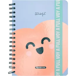 Mr. Wonderful - Agenda Wonder 2025 Semanal