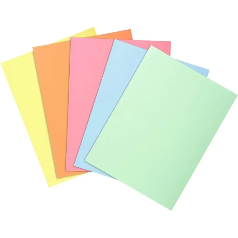 Exacompta 850100E - Lote de 100 Subcarpetas