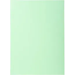 Exacompta 850100E - Lote de 100 Subcarpetas