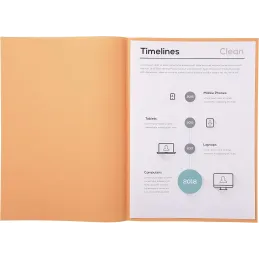 Exacompta 850100E - Lote de 100 Subcarpetas