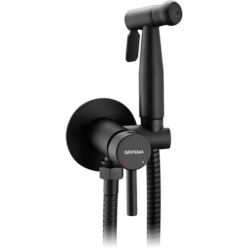 GRIFEMA G154B-1 Monomando Empotrar para Bidé WC, A