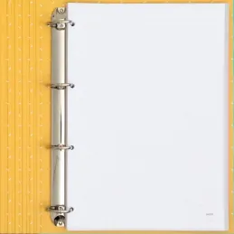 Mr. Wonderful - Carpeta con anillas y folios.