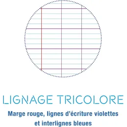 3 Cuadernos Caligrafia , cosido (gama Clairefontaine 7000) 96 páginas 24x32 cm 70g