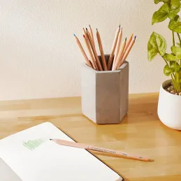 Amazon Aware certificado FSC, Lápices de colores c