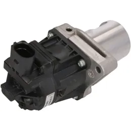 Pierburg 7.24809.81.0 Válvula EGR