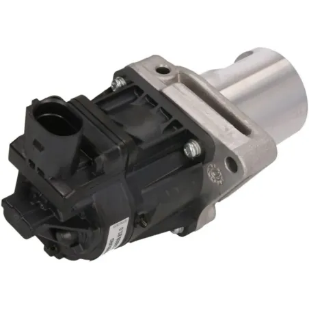 Pierburg 7.24809.81.0 Válvula EGR