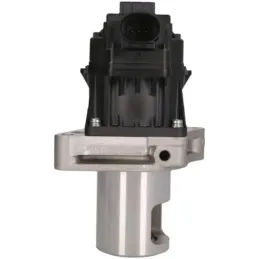 Pierburg 7.24809.81.0 Válvula EGR