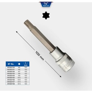 BRILLIANT TOOLS BT022735 Llave de vaso con punta RIBE de 1/2", longitud 100 mm, M10