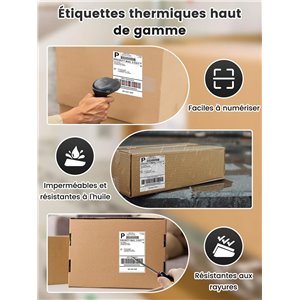 Phomemo Etiquetas De EnvíO 4 X 6 Dhl, Etiquetas TéRmicas