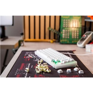 CHERRY MX RGB BROWN Switch Kit, 23 interruptores