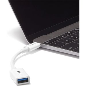 Amazon Basics Cable Adaptador convertidor Hembra de USB-C a USB-A 3.1, 1.ª Gen