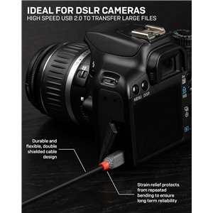 LINDY Cable Mini USB 36725 5 m Negro