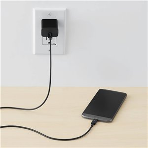 Amazon Basics Cable de Carga rápida USB-C a USB-C