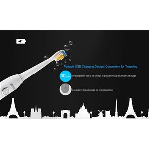 Seago Ultrasonic cepillo de dientes eléctrico color blanco. SG-507