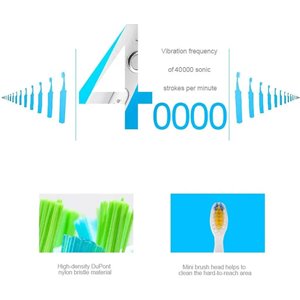 Seago Ultrasonic cepillo de dientes eléctrico color blanco. SG-507