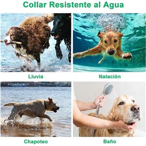 Collar de Adiestramiento para Perros