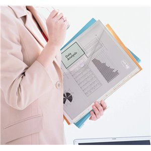 10 Paquetes de Carpetas A4 Plástico