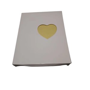 Organizador, carpeta con anillas transparente