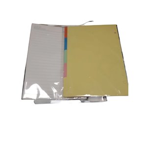 Organizador, carpeta con anillas transparente