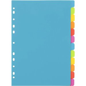 Viquel – Lote de 12 separadores de plástico, tamaño A4