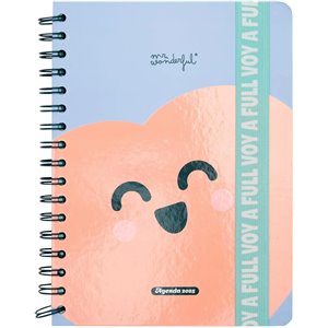 Mr. Wonderful - Agenda Wonder 2025 Semanal