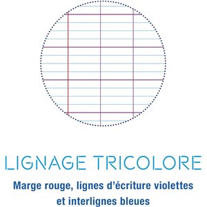 3 Cuadernos Caligrafia , cosido (gama Clairefontaine 7000) 96 páginas 24x32 cm 70g