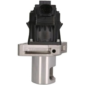 Pierburg 7.24809.81.0 Válvula EGR