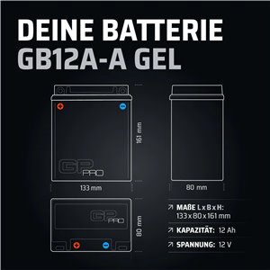 GP-PRO GB12A-A - Batería de arranque para motos, 12V, 12Ah