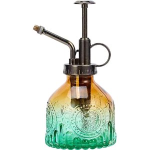 Botella rociadora de Vidrio Vintage para Plantas, Botella de riego para suculentas con Bomba Superior